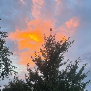 Meet your Posher, Ro